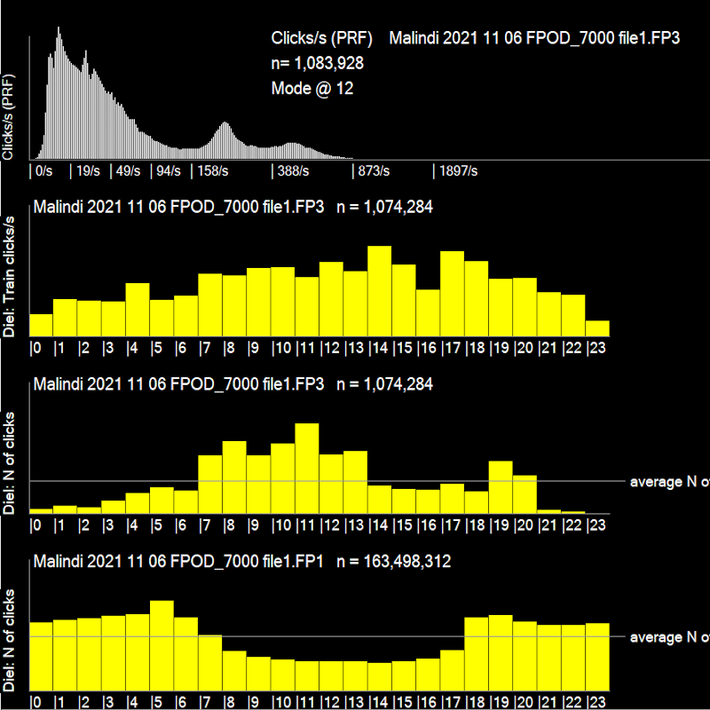 Grpahs showing diel patterns in dolphin detections plus chorusing in the FP1 data