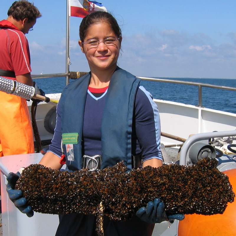 Severe biofouling of marine instrument